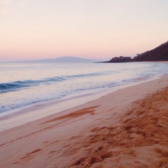 Meet your Posher, L - Picture 1 of 1